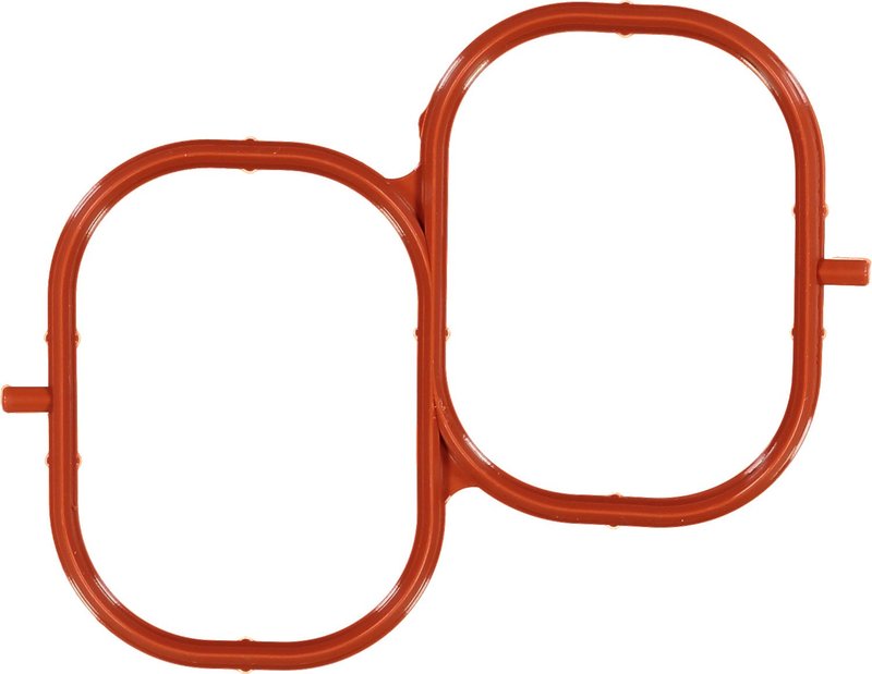 Victor Reinz 71-42844-00 Fuel Injection Plenum Gasket