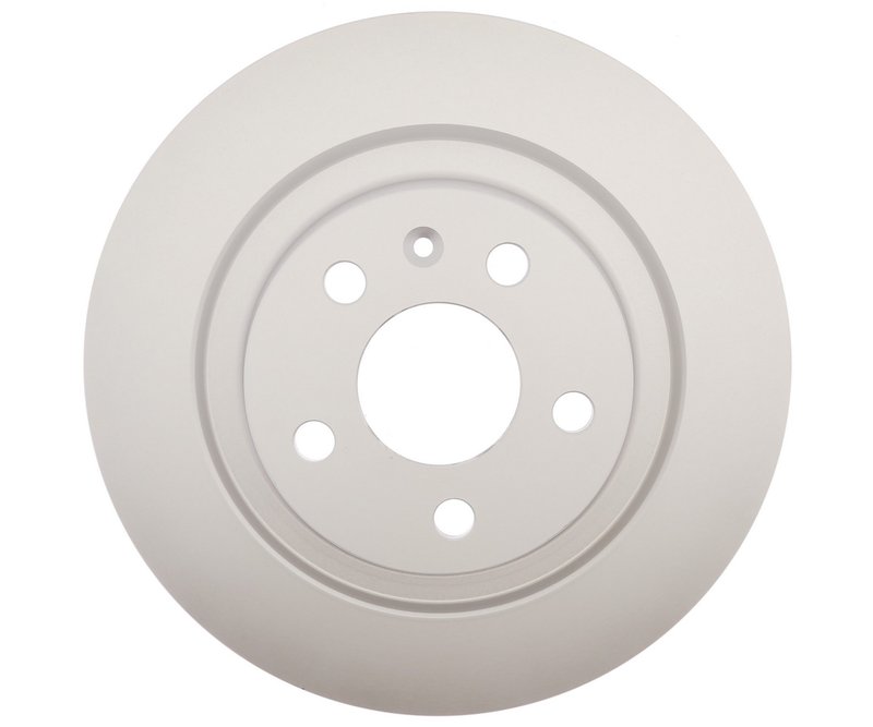 Raybestos 982273 Disc Brake Rotor - Rear