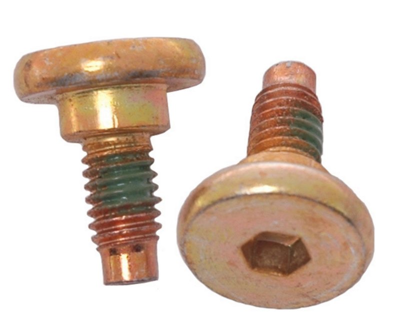 Raybestos H5019W Disc Brake Caliper Bolt Kit - Front or Rear