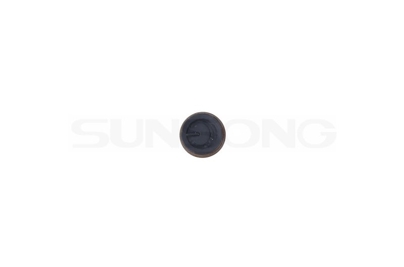 Sunsong 3170019 Power Steering Pressure Hose Seal Ring - At Steering Gear