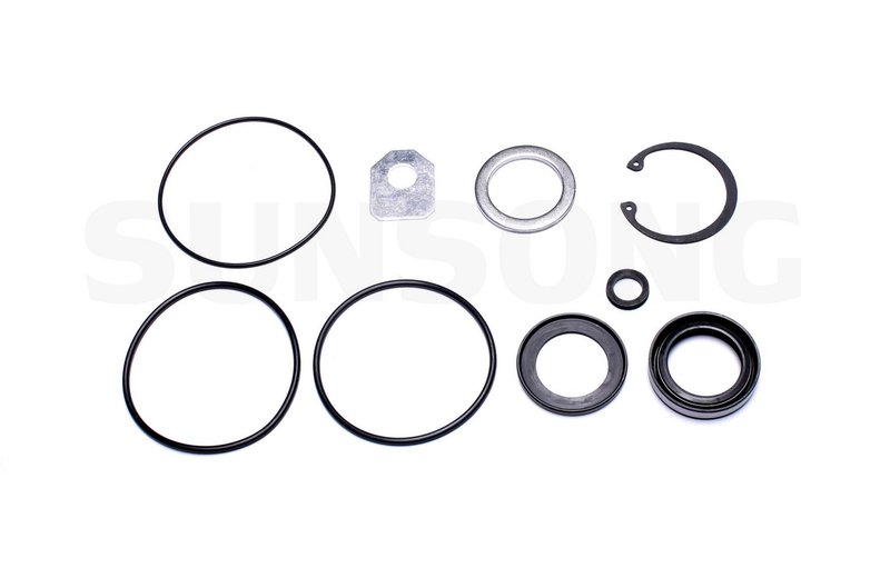 Sunsong 8401024 Steering Gear Pitman Shaft Seal Kit