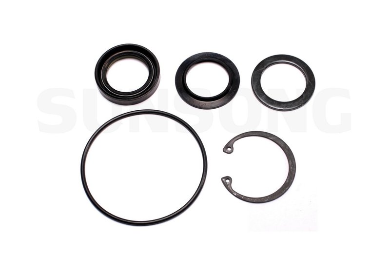 Sunsong 8401066 Steering Gear Pitman Shaft Seal Kit