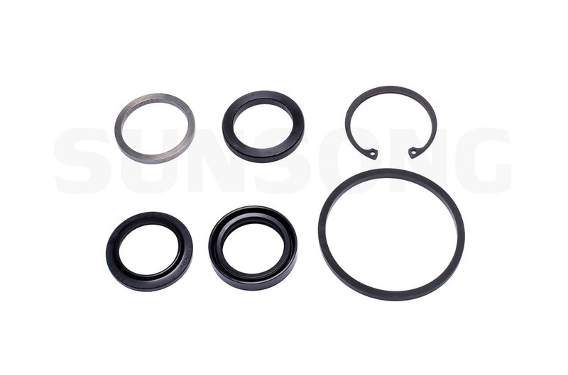 Sunsong 8401121 Steering Gear Pitman Shaft Seal Kit