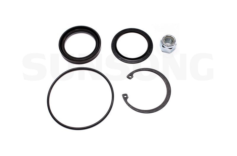 Sunsong 8401138 Steering Gear Pitman Shaft Seal Kit
