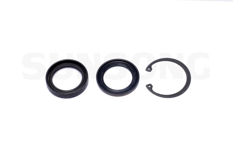 Sunsong 8401174 Steering Gear Pitman Shaft Seal Kit - Lower