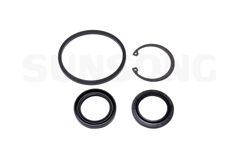 Sunsong 8401243 Steering Gear Pitman Shaft Seal Kit