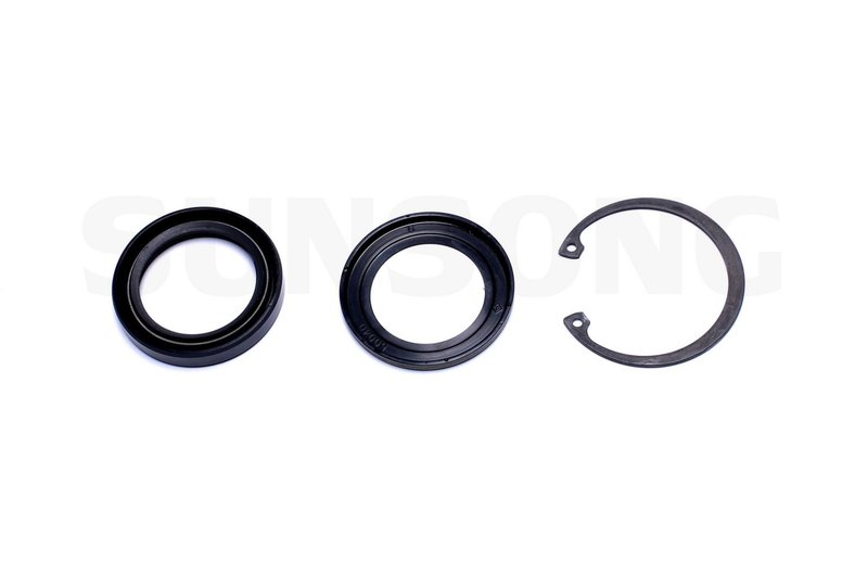 Sunsong 8401396 Steering Gear Pitman Shaft Seal Kit - Lower