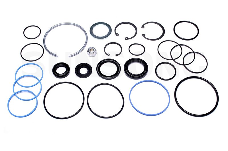 Sunsong 8401456 Steering Gear Seal Kit
