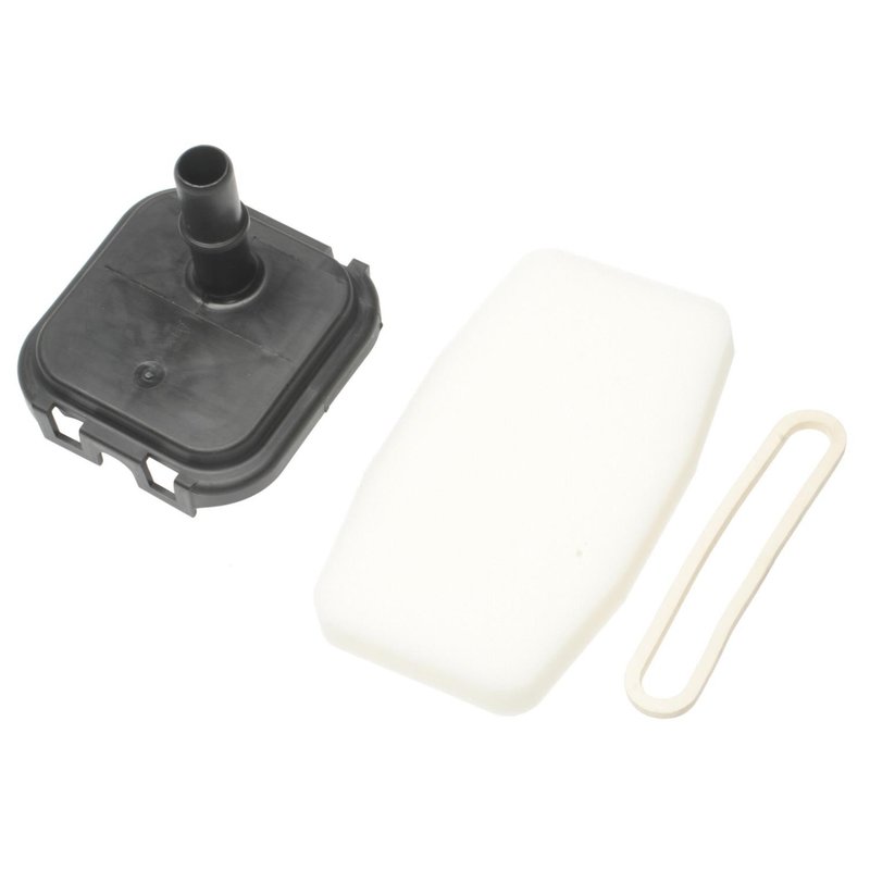 Standard Ignition CF2 Vapor Canister Filter