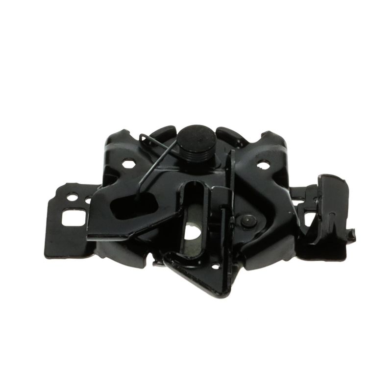 Standard Ignition DLA2029 Hood Latch Assembly