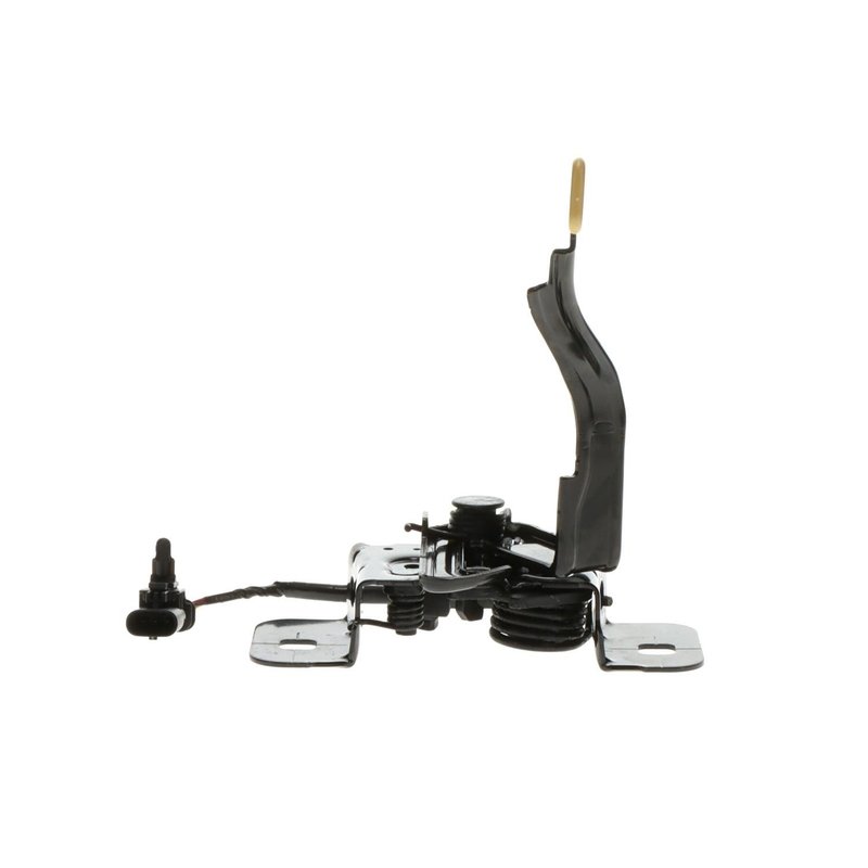 Standard Ignition DLA2217 Hood Latch Assembly