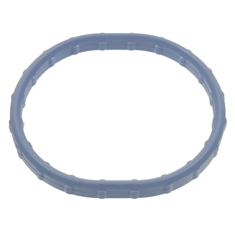 Standard Ignition PG91 Fuel Injection Plenum Gasket