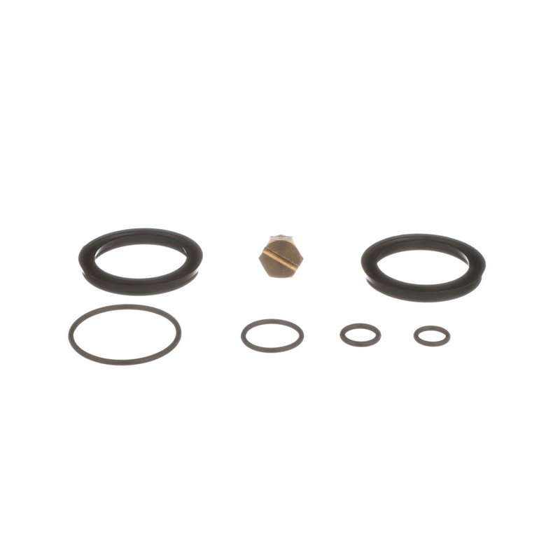 Standard Ignition PHS1 Fuel Filter Primer Housing Seal Kit
