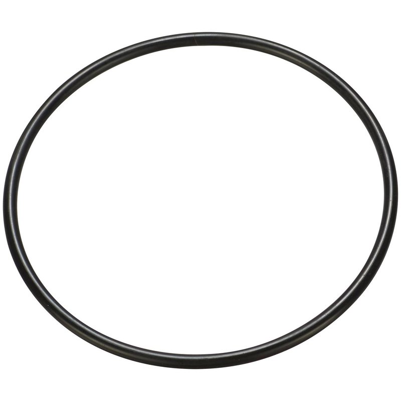 Spectra LO167 Fuel Pump Tank Seal