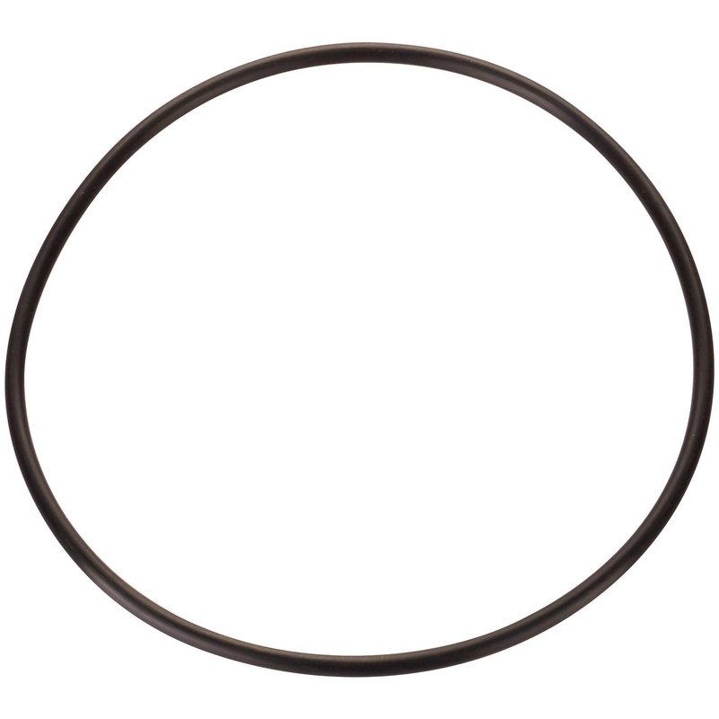 Spectra LO190 Fuel Pump Tank Seal