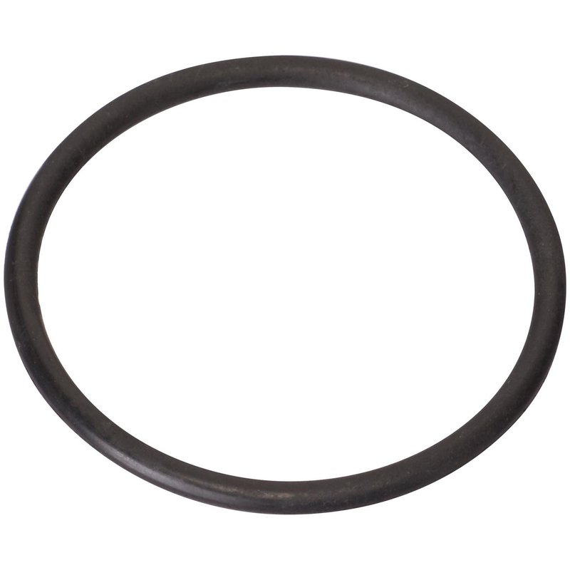 Spectra LO210 Fuel Pump Tank Seal - Left