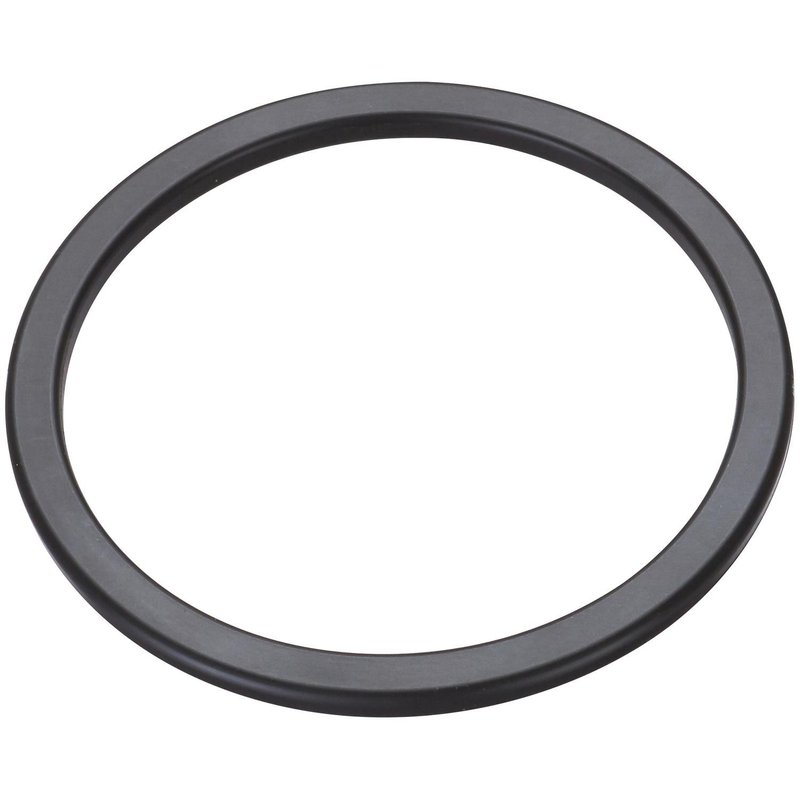 Spectra LO211 Fuel Pump Tank Seal