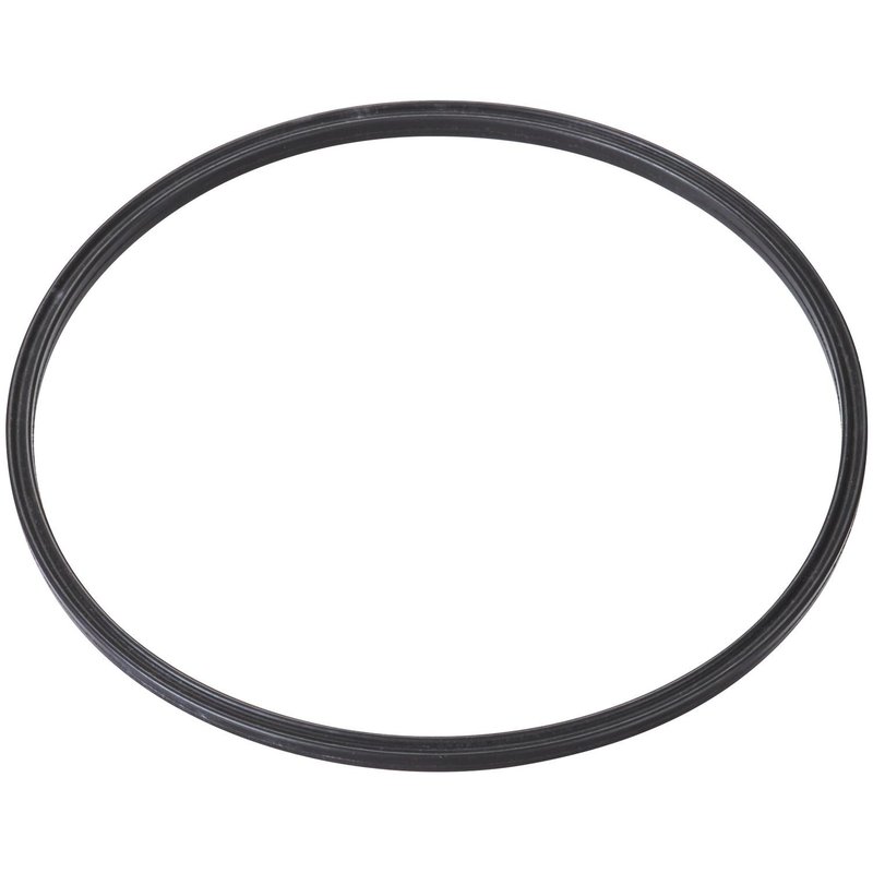 Spectra LO221 Fuel Pump Tank Seal