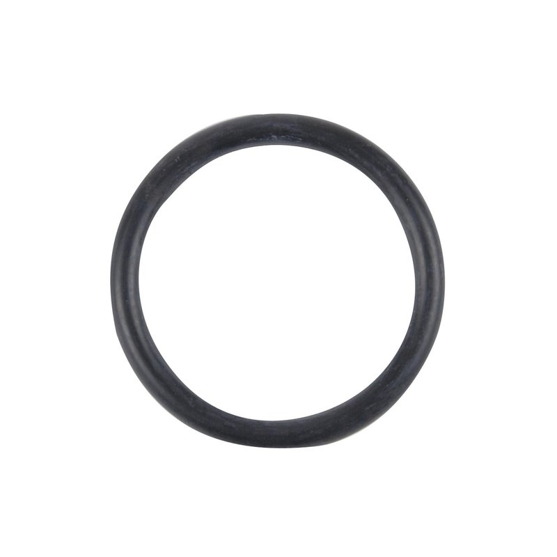 Spectra LO54 Fuel Pump Tank Seal