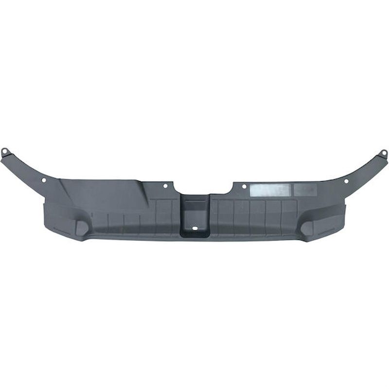 TechPro AU1224109 Panel Molding - Front