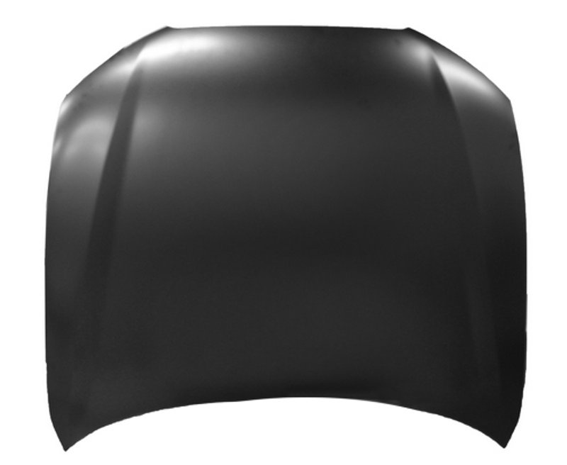 TechPro AU1230123C Hood Panel Assembly