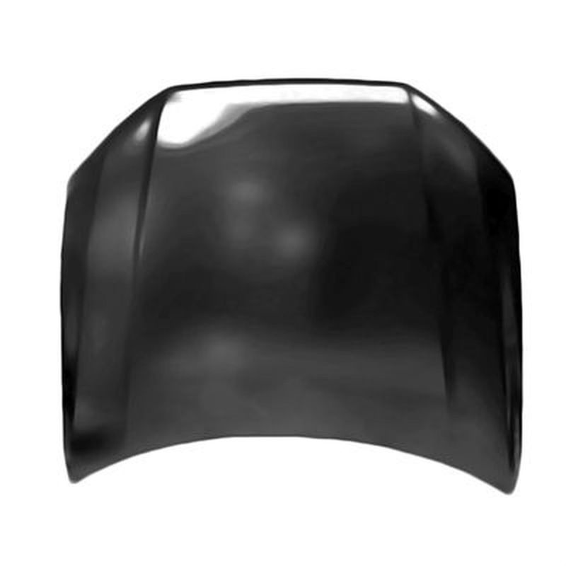 TechPro AU1230134C Hood Panel Assembly