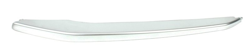 TechPro BM1046141 Bumper Cover Molding - Front Left