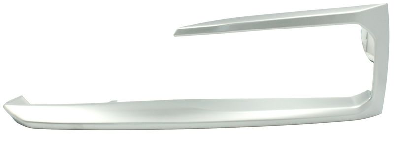 TechPro BM1046151 Bumper Cover Molding - Front Left