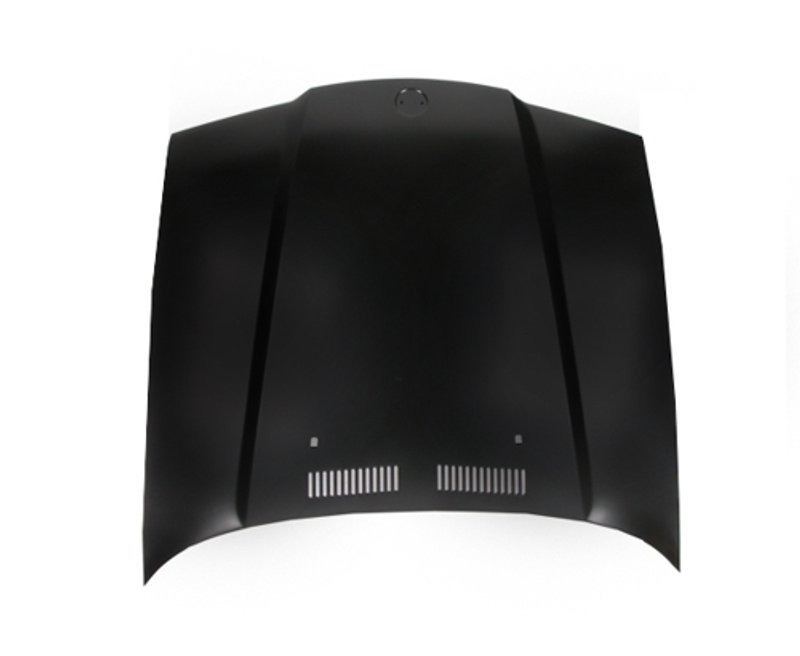 TechPro BM1230112 Hood Panel Assembly