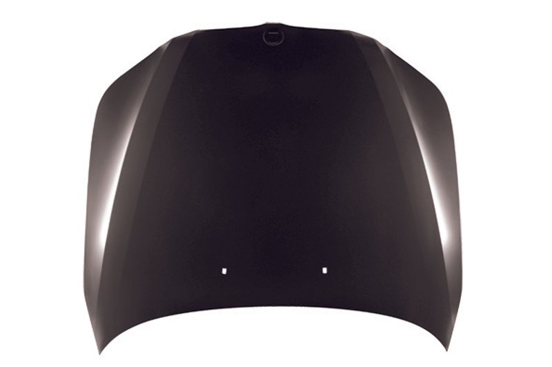 TechPro BM1230116C Hood Panel Assembly