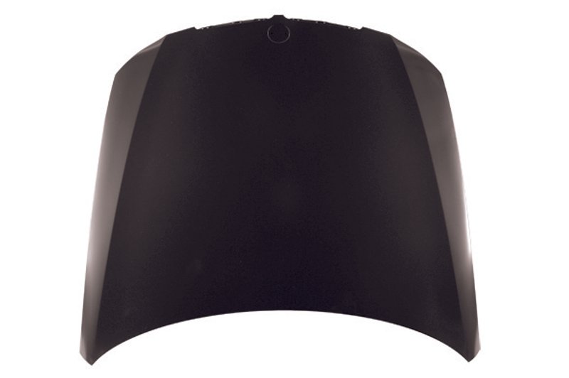 TechPro BM1230119 Hood Panel Assembly