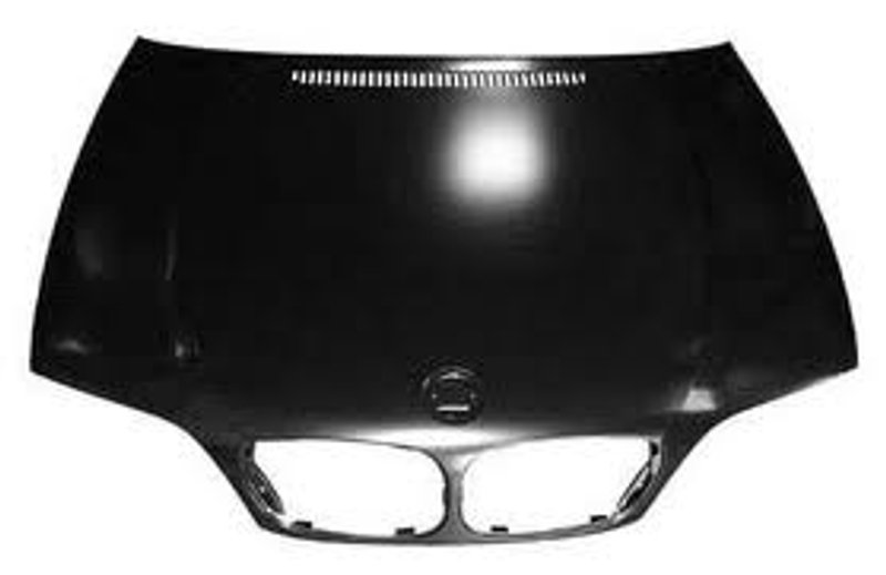 TechPro BM1230120 Hood Panel Assembly