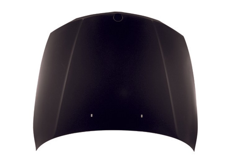 TechPro BM1230127C Hood Panel Assembly