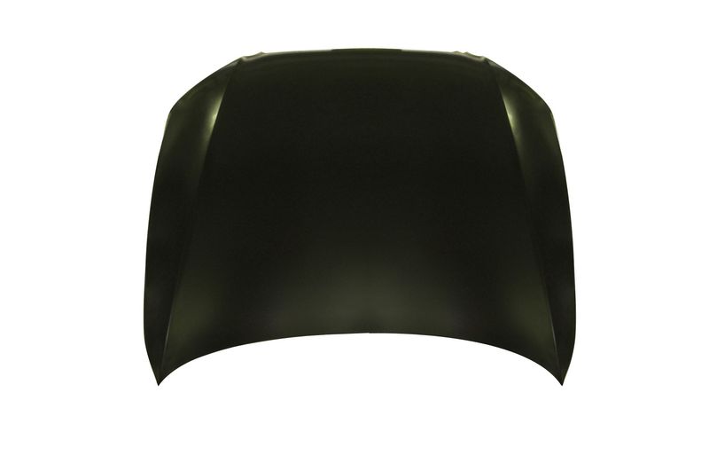 TechPro BM1230133 Hood Panel Assembly