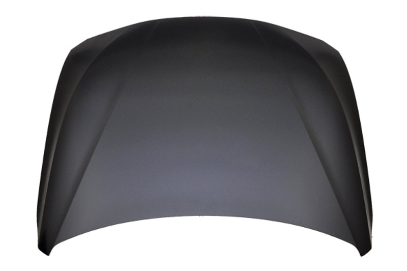 TechPro BM1230136C Hood Panel Assembly