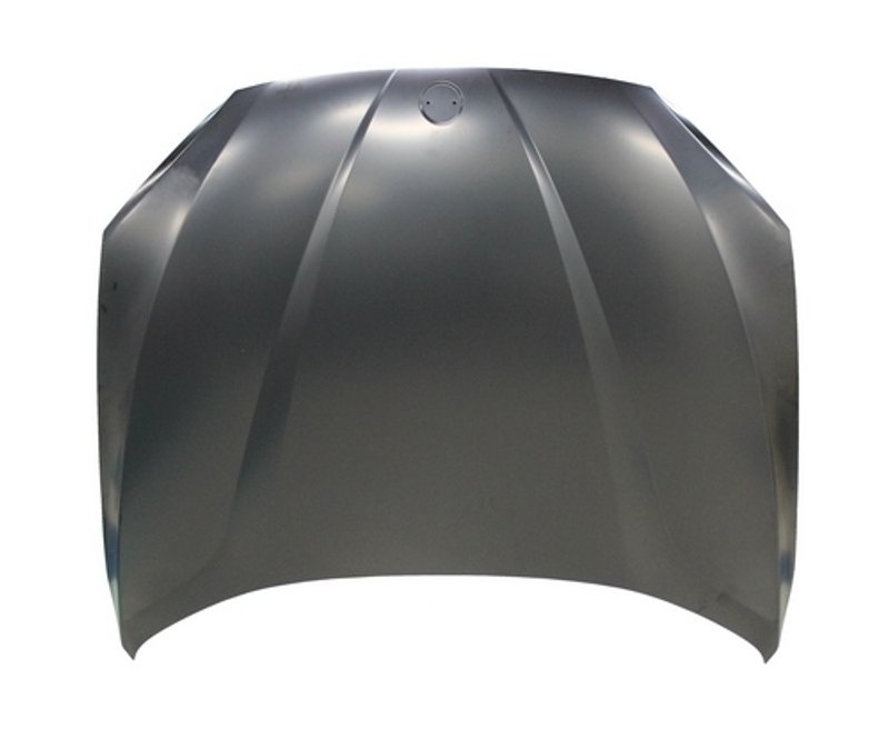 TechPro BM1230137 Hood Panel Assembly