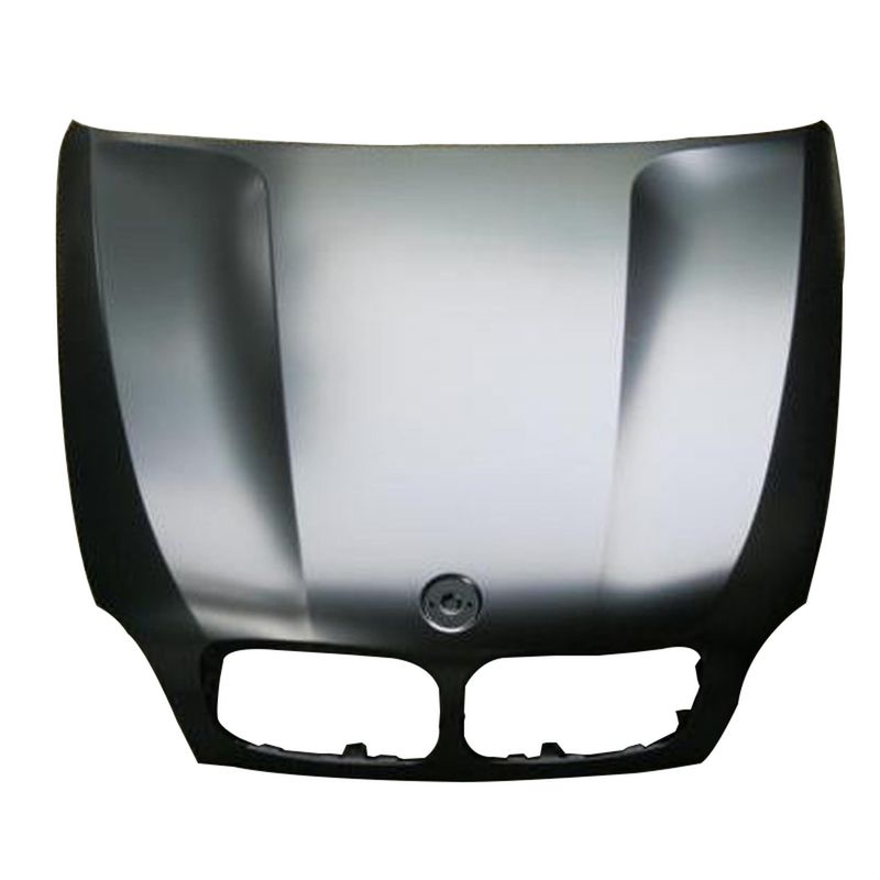 TechPro BM1230141 Hood Panel Assembly