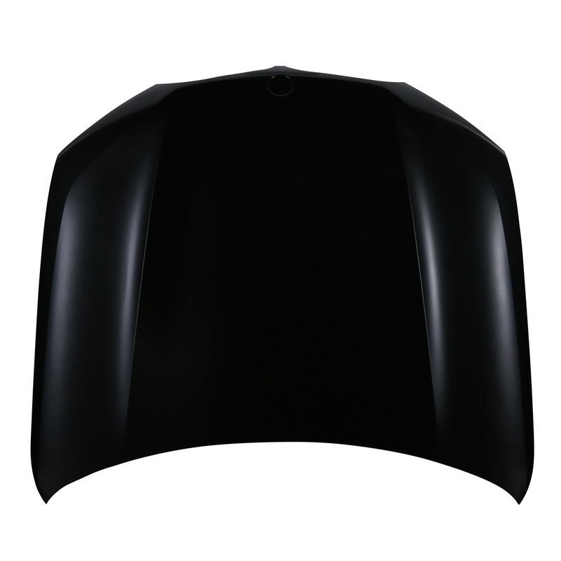TechPro BM1230148 Hood Panel Assembly