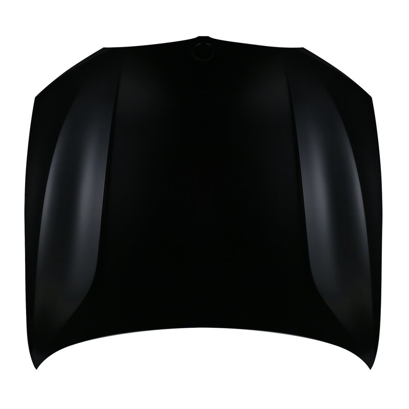 TechPro BM1230150C Hood Panel Assembly