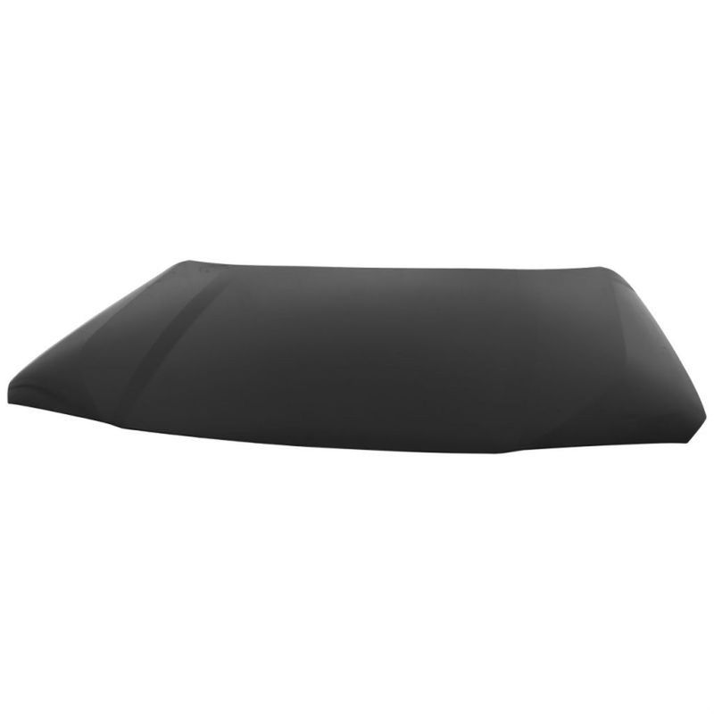 TechPro BM1230153C Hood Panel Assembly