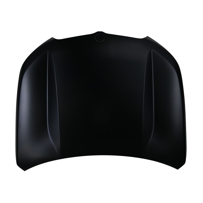 TechPro BM1230162C Hood Panel Assembly
