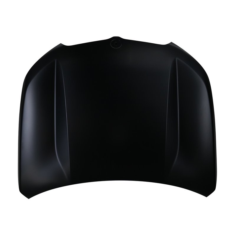 TechPro BM1230162 Hood Panel Assembly