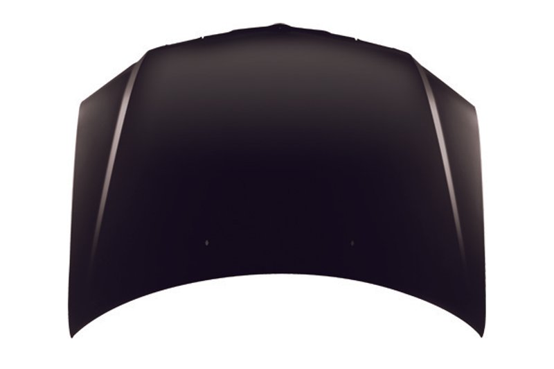 TechPro CH1230239C Hood Panel Assembly