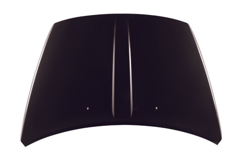 TechPro CH1230249C Hood Panel Assembly