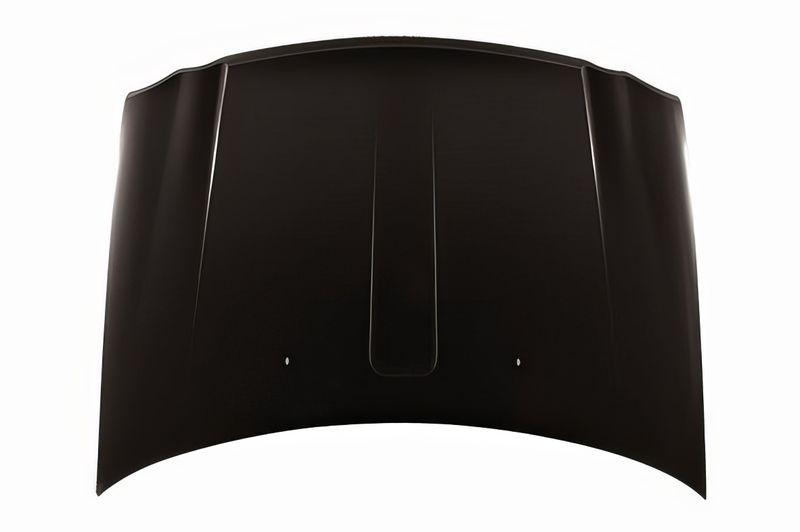 TechPro CH1230276 Hood Panel Assembly