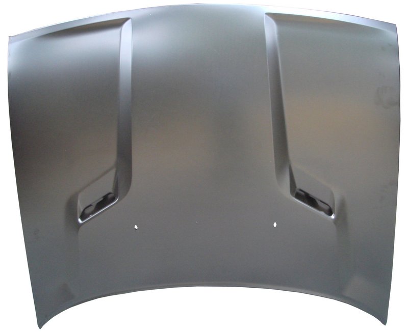TechPro CH1230277 Hood Panel Assembly