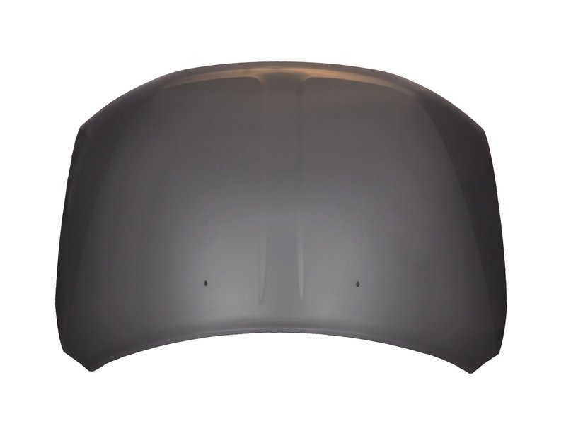 TechPro CH1230286C Hood Panel Assembly