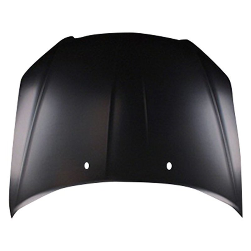TechPro CH1230290C Hood Panel Assembly