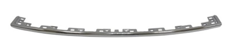 TechPro FO1144116 Bumper Cover Molding - Rear