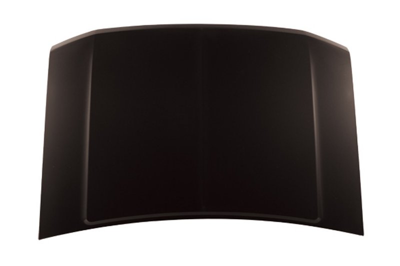 TechPro FO1230121C Hood Panel Assembly
